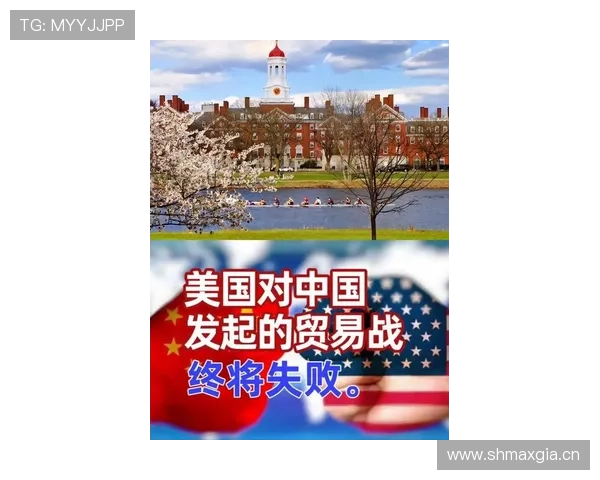 全球资讯 – 星空游戏网